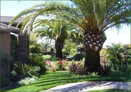 custom pools and spas by greencare.net